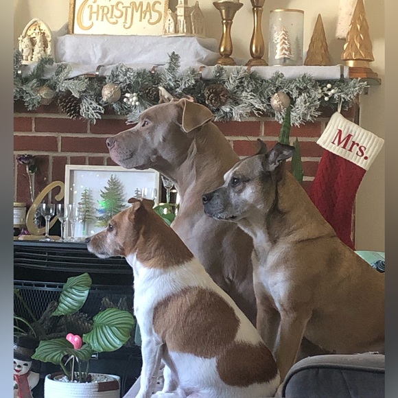 Meet your Posher, Jessi The Clearance Queen! - Picture 2 of 4